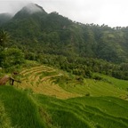 Bali 200882.jpg