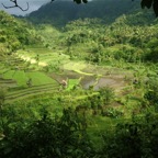 Bali 200884.jpg
