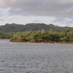 Bonaire 200557.jpg