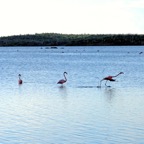 Bonaire 200577.jpg