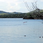 Bonaire 200578.jpg