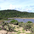 Bonaire 200585.jpg