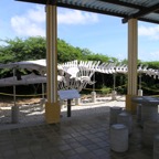 Bonaire 200589.jpg
