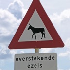 Bonaire 200591.jpg