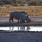 BotswanaSimbabwe - 6.jpg