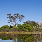 BotswanaSimbabwe - 15.jpg