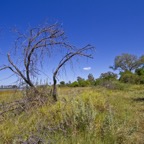 BotswanaSimbabwe - 18.jpg