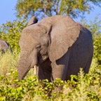 BotswanaSimbabwe - 23.jpg