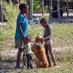 BotswanaSimbabwe - 32.jpg
