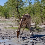 BotswanaSimbabwe - 33.jpg