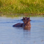 BotswanaSimbabwe - 38.jpg