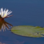BotswanaSimbabwe - 49.jpg