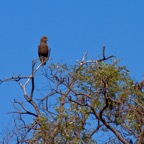 BotswanaSimbabwe - 51.jpg