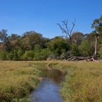 BotswanaSimbabwe - 52.jpg