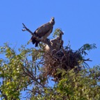 BotswanaSimbabwe - 59.jpg