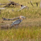 BotswanaSimbabwe - 63.jpg