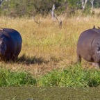 BotswanaSimbabwe - 66.jpg