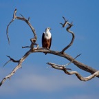 BotswanaSimbabwe - 67.jpg