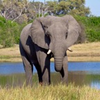 BotswanaSimbabwe - 70.jpg