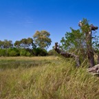 BotswanaSimbabwe - 77.jpg