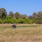 BotswanaSimbabwe - 79.jpg
