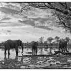 BotswanaSimbabwe - 85.jpg