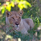 BotswanaSimbabwe - 91.jpg