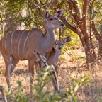 BotswanaSimbabwe - 118.jpg