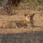 BotswanaSimbabwe - 119.jpg