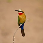BotswanaSimbabwe - 122.jpg