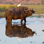BotswanaSimbabwe - 133.jpg