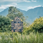 Dauin_2025_00003.jpeg