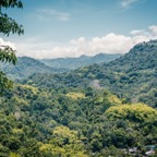 Dauin_2025_00131.jpeg