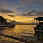 DiversLodgeLembeh2018 - 86.jpg