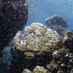 El Quesier 200911.jpg