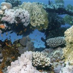 El Quesier 200913.jpg