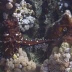 El Quesier 200921.jpg