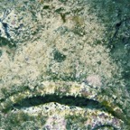 El Quesier 200943.jpg