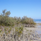 El Quesier 200947.jpg