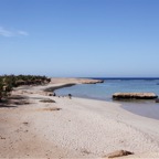 El Quesier 200949.jpg