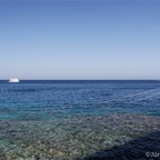 El Quesier 200951.jpg