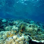 El Quesier 200973.jpg