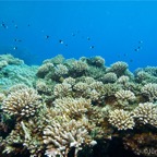 El Quesier 200976.jpg
