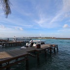 Eryiadhoo 201002.jpg