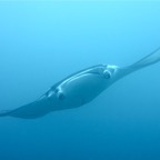 Eryiadhoo 201004.jpg