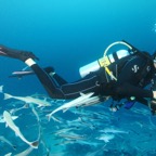Eryiadhoo 201015.jpg