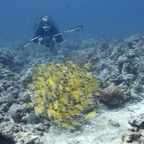 Eryiadhoo 201027.jpg
