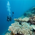 Eryiadhoo 201032.jpg