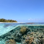 Eryiadhoo 201034.jpg