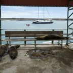 Galapagos 2007_2012002.jpg